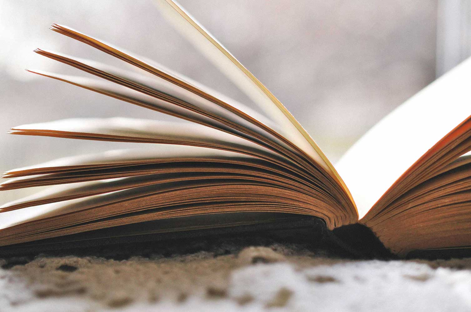 Book laid open on its spine. 