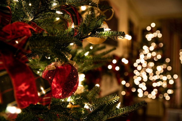 Close up of a Christmas tree.