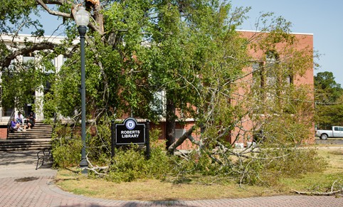 A fallen tree rests on MGA's Roberts Memorial Library after the storm on April 6, 2022.