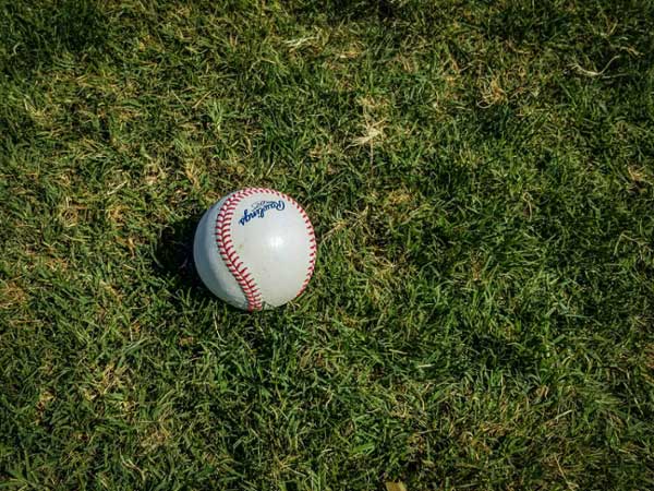 Baseball laying in grass.