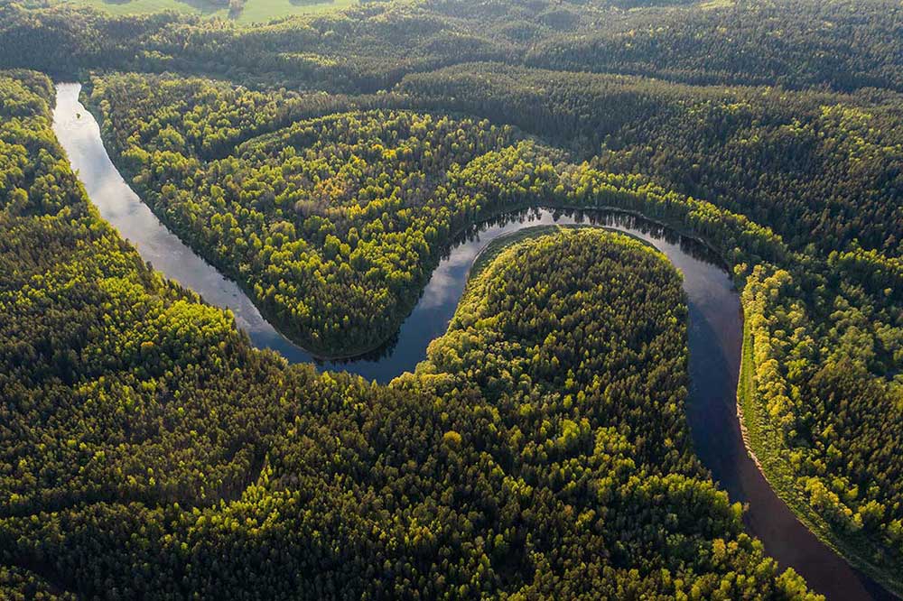 Aerial view of the Amazon River. 