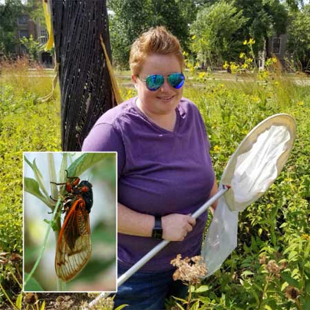 Dr. Melissa Sisson, shown during a field research trip, and, in the inset, a Great Southern Brood cicada.