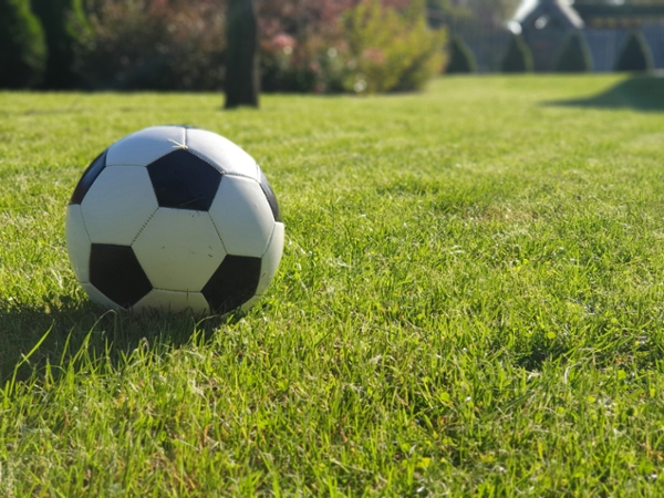 Soccer ball resting on a field. 