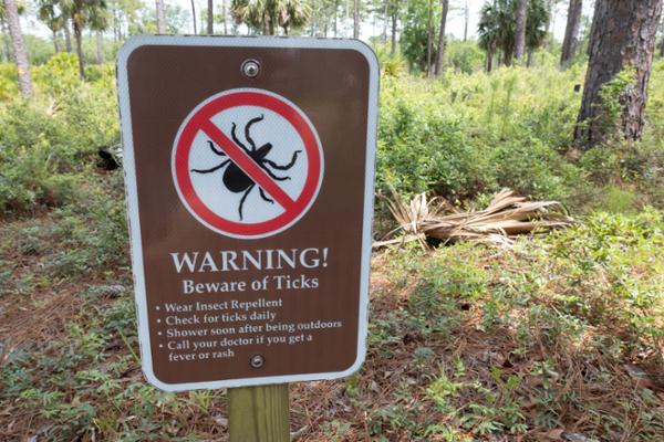 "Warning! Beware of Ticks" sign in a forest. 