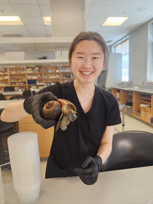 MGA biology student holds a snail in a lab.