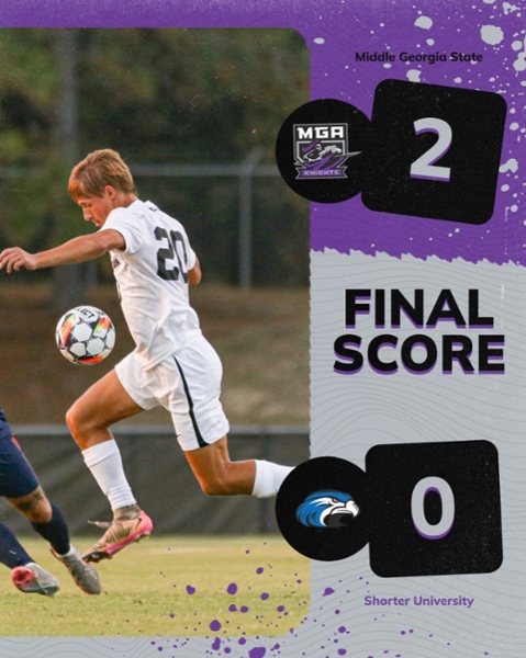 Knights defeat Hawks, 2-0. 