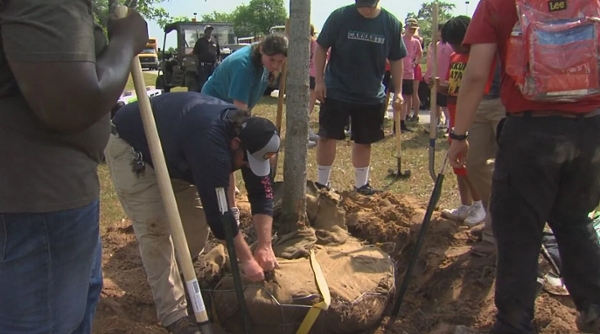 Middle Georgia State University Plant Operations and FFA Students plant trees across the Macon campus (Credit: Perry Smith, WGXA)