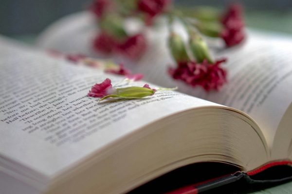 Red flowers rest on an open book.