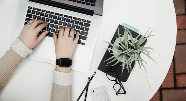 Overhead photo of person using laptop by aloe plat. 