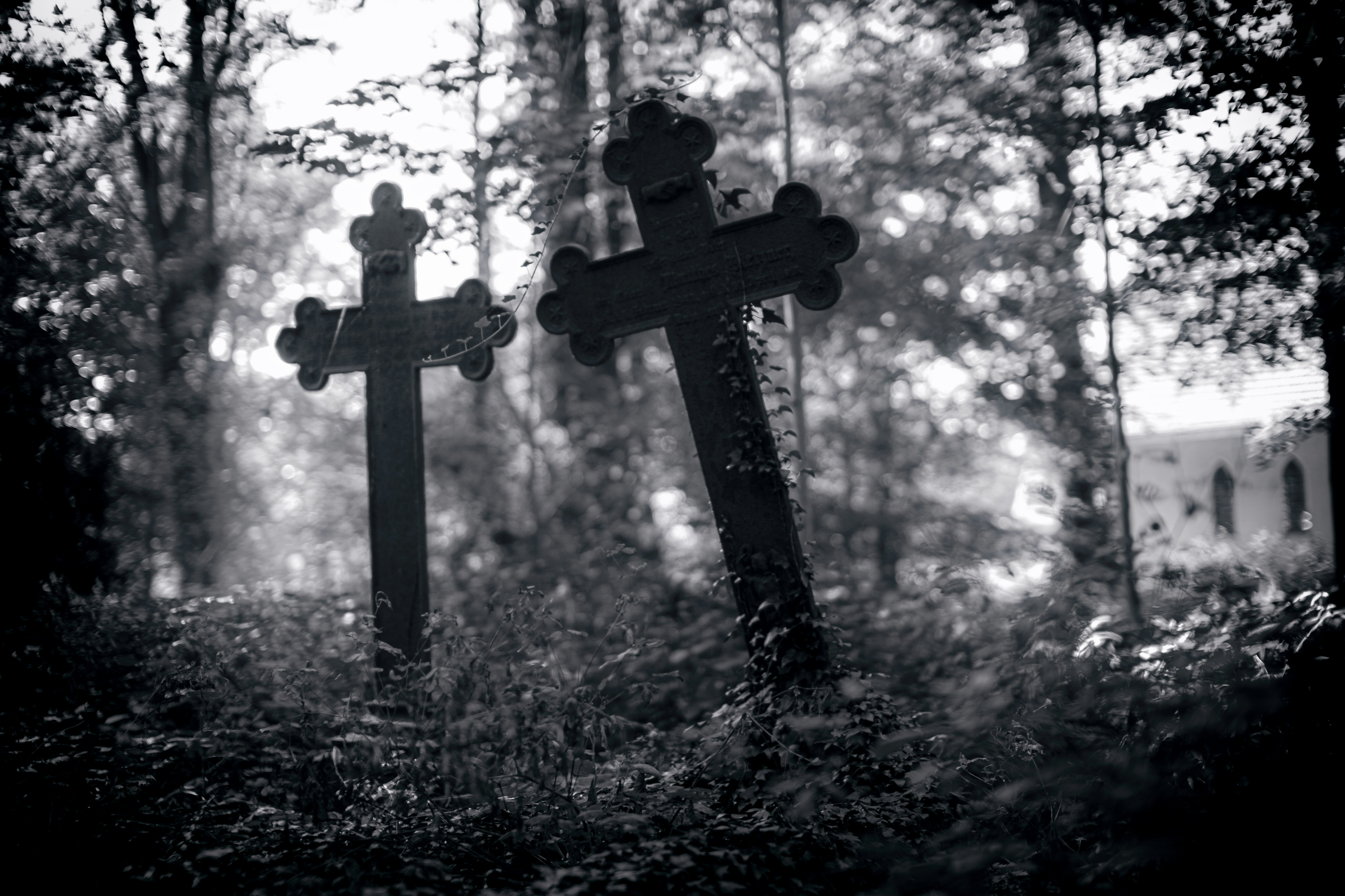 Crosses sitting in the middle of a forest.
