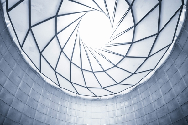Glass vivarium ceiling. 