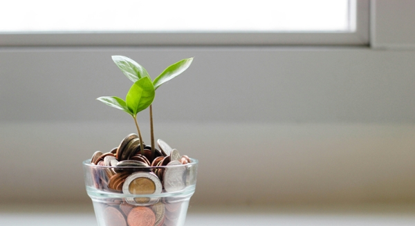 Coins in a glass planter with a plant growing from the coins.