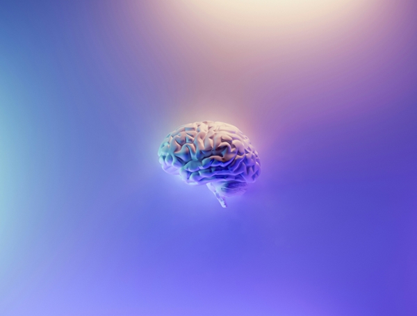 Animated anatomic rendition of a brain.